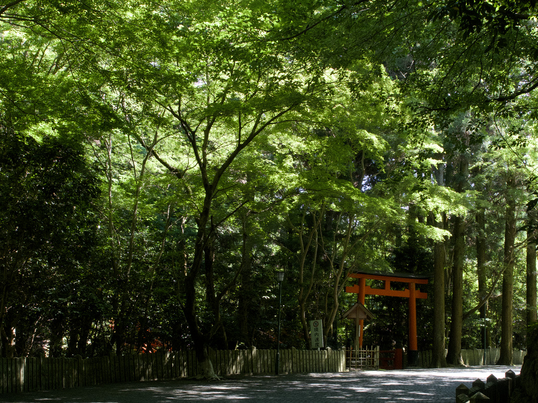 Japan 3 photo 5